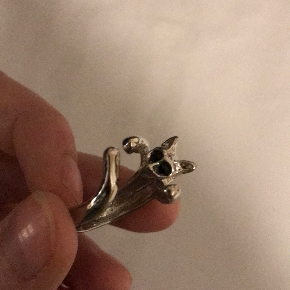 CAT RING !!!